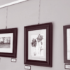 ArtExhibit